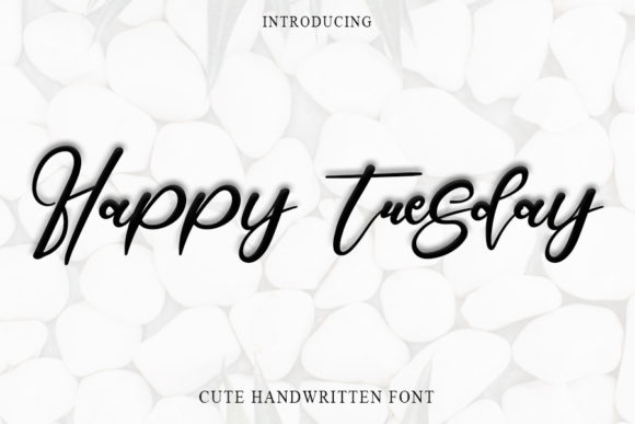 Happy Tuesday: A Delicate Script Font for Romantic Branding