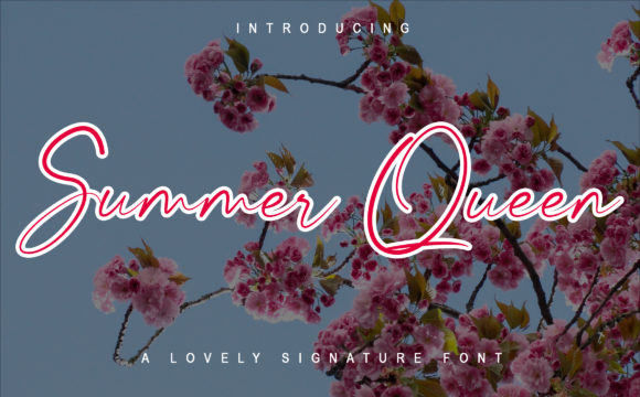 Summer Queen: A Script Font That Elevates Digital Branding