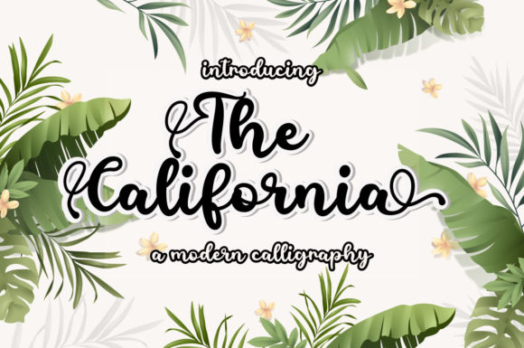 The California: A Script Handwritten Font for Powerful Digital Branding